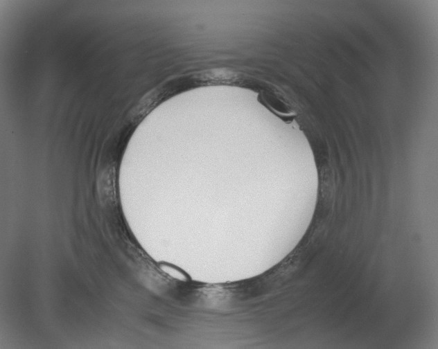 X0000080140425200701051518