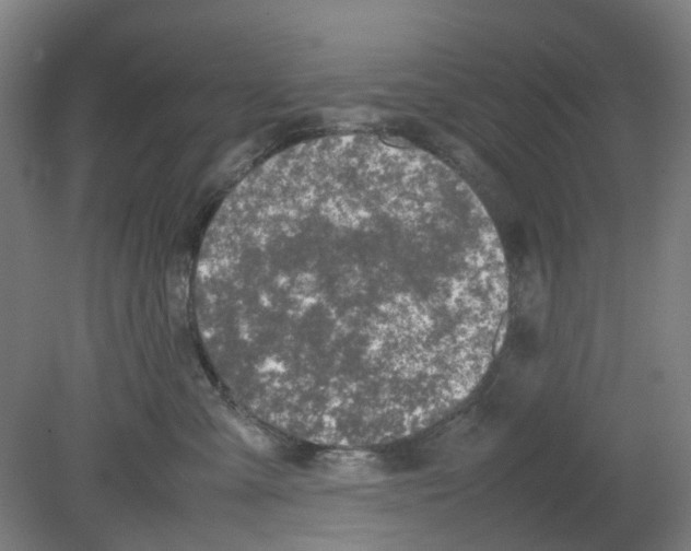 X0000080140427200701051518