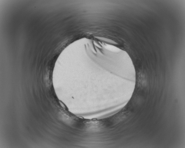 X0000080140428200701051518