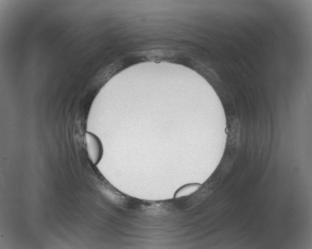 X0000080140430200701051518