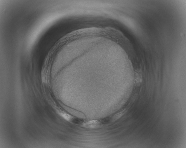 X0000080140431200701051518