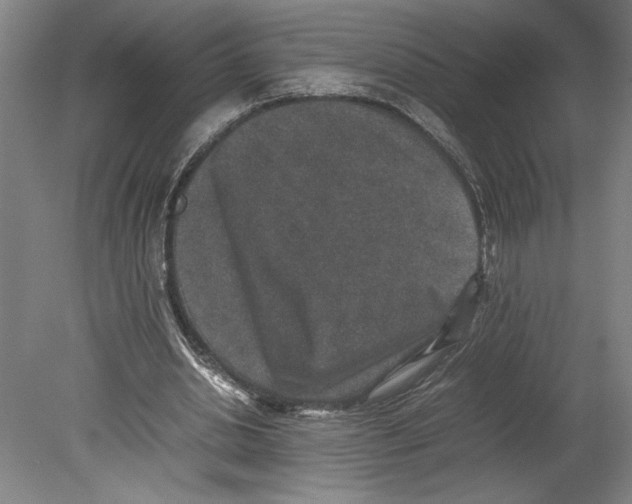 X0000080140438200701051517