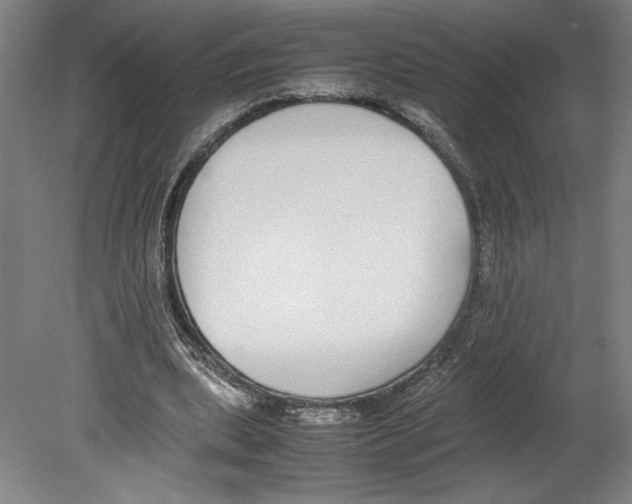 X0000080140439200701051517