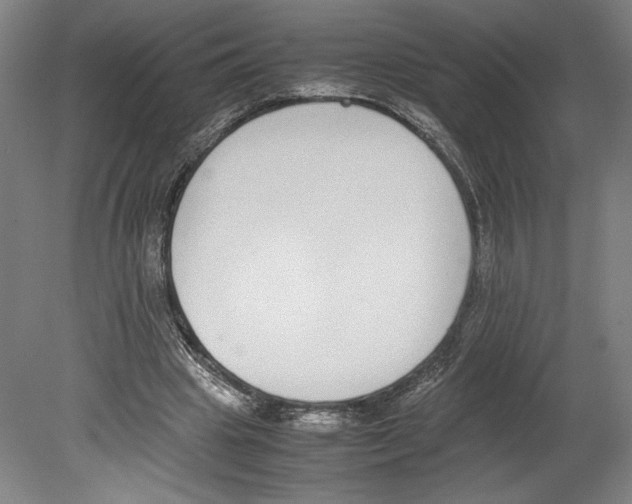 X0000080140441200701051517