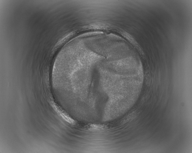 X0000080140442200701051517