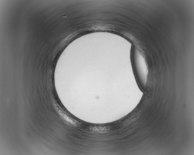 X0000080140445200701051517
