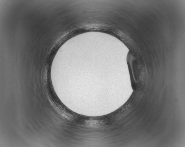 X0000080140448200701051517