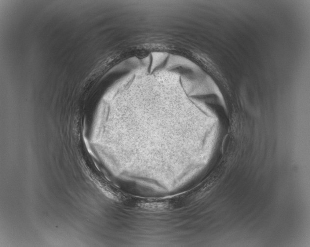 X0000080140449200701051518