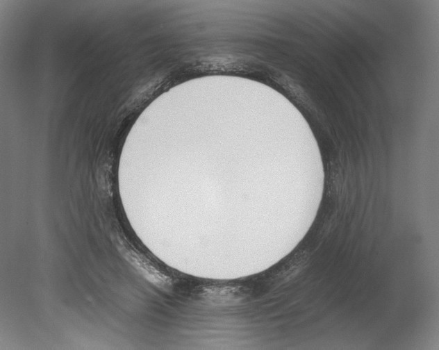 X0000080140450200701051518