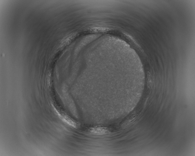 X0000080140451200701051518