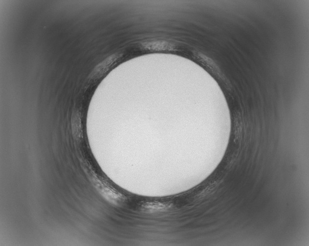 X0000080140453200701051518