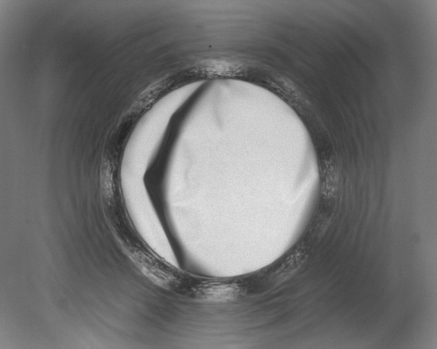 X0000080140456200701051518