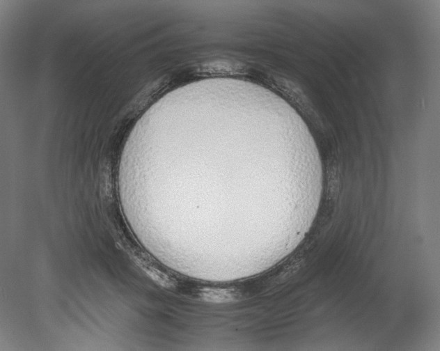 X0000080140457200701051518