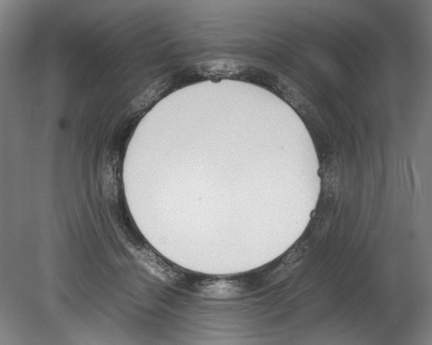 X0000080140460200701051518
