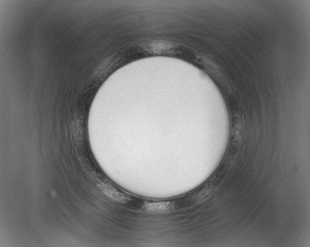 X0000080140461200701051518