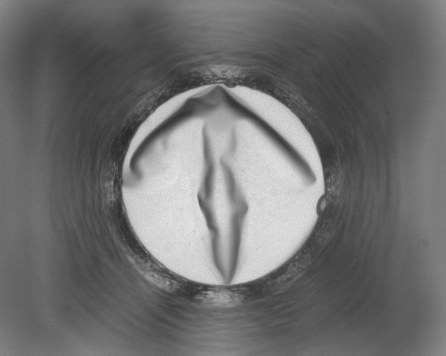 X0000080140464200701051518