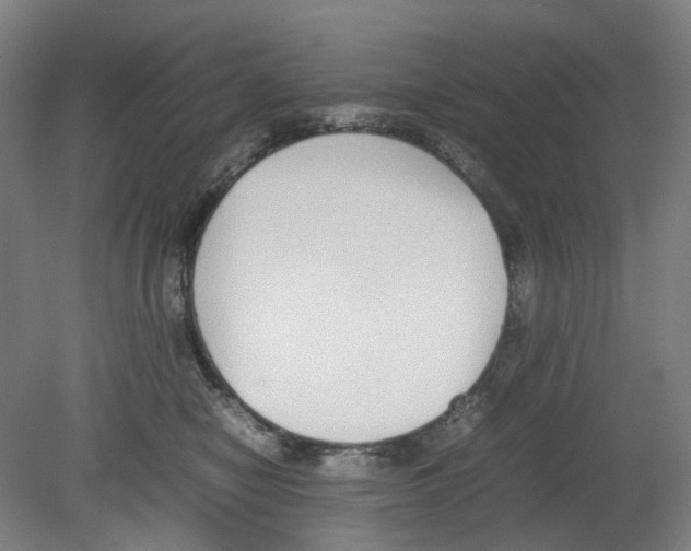 X0000080140470200701051518
