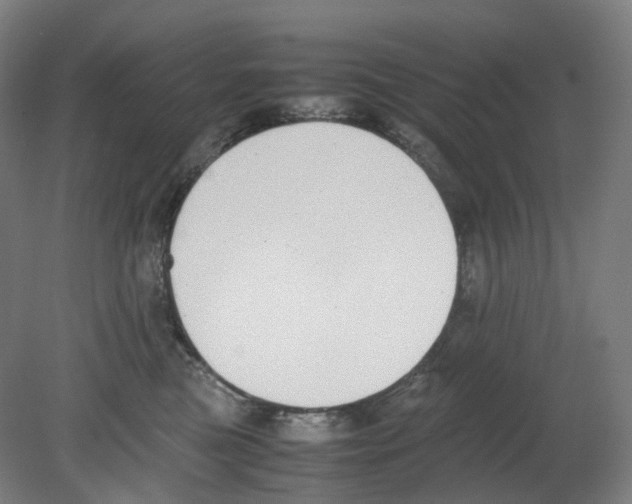 X0000080140473200701051518