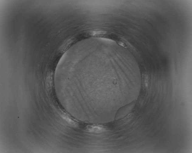 X0000080140475200701051518