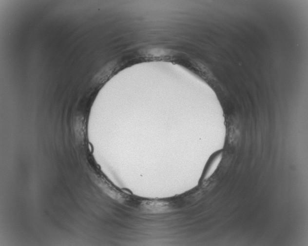 X0000080140476200701051518