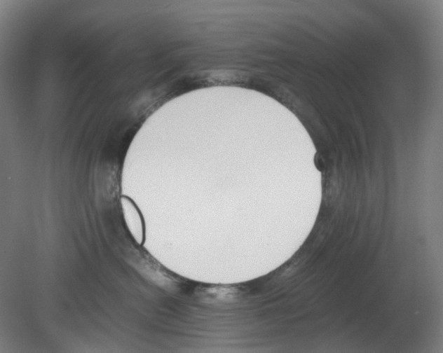 X0000080140478200701051518