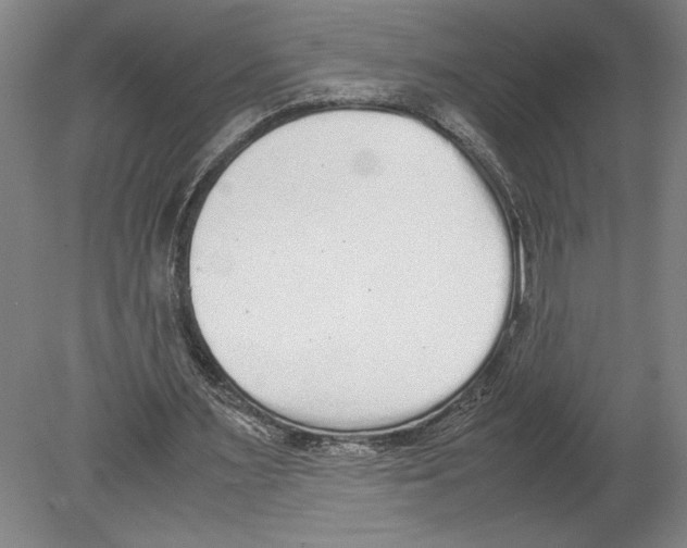 X0000080140483200701051517
