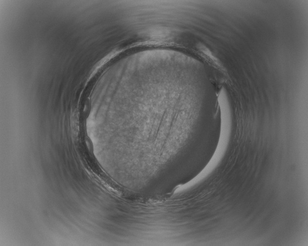 X0000080140484200701051517