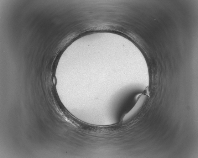 X0000080140485200701051517