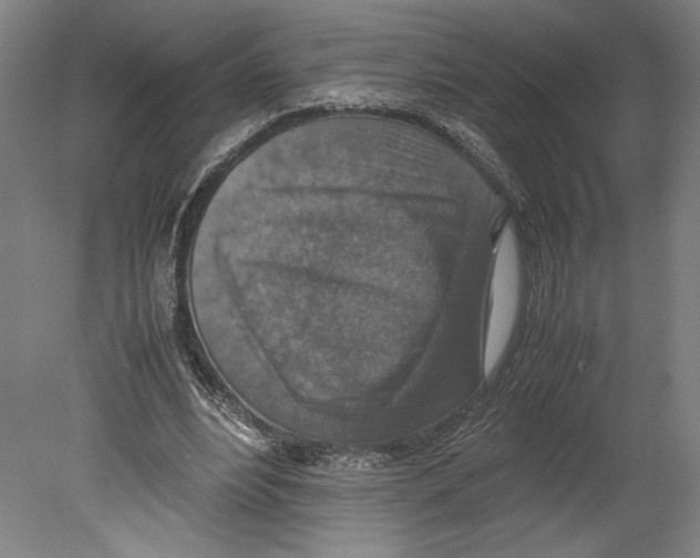 X0000080140488200701051517
