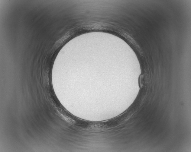 X0000080140489200701051517