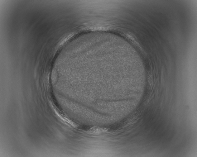 X0000080140491200701051517