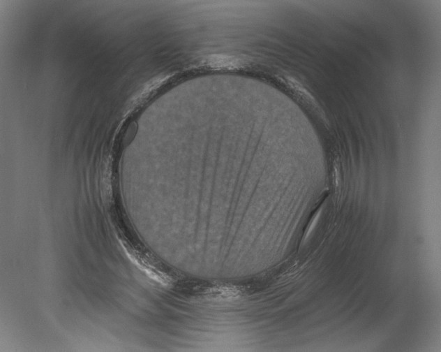 X0000080140492200701051517