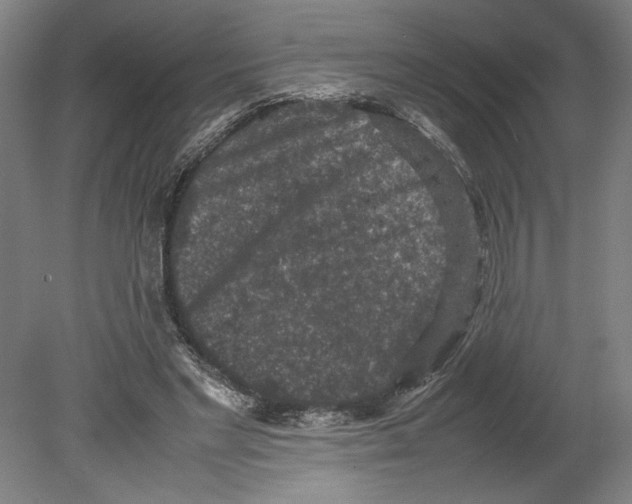 X0000080140493200701051517