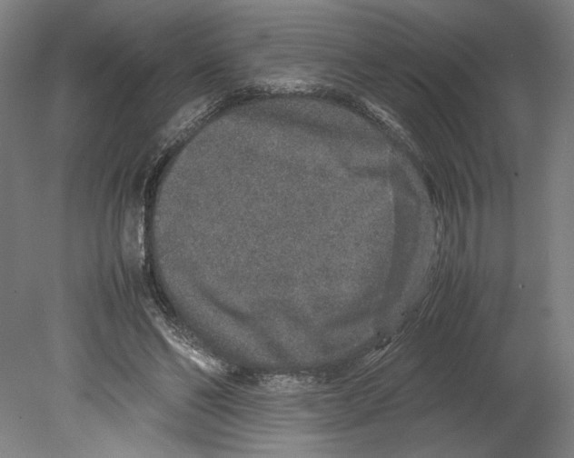 X0000080140494200701051517