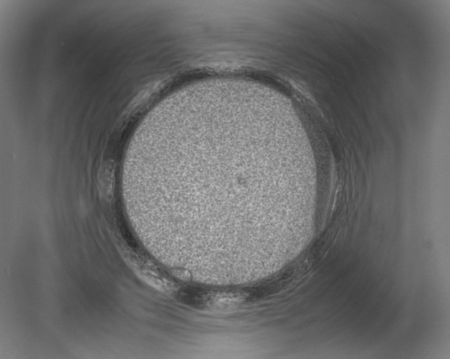X0000080140495200701051517