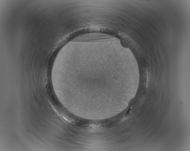 X0000080140496200701051517