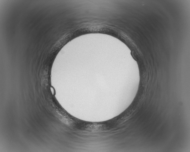 X0000080140497200701051517