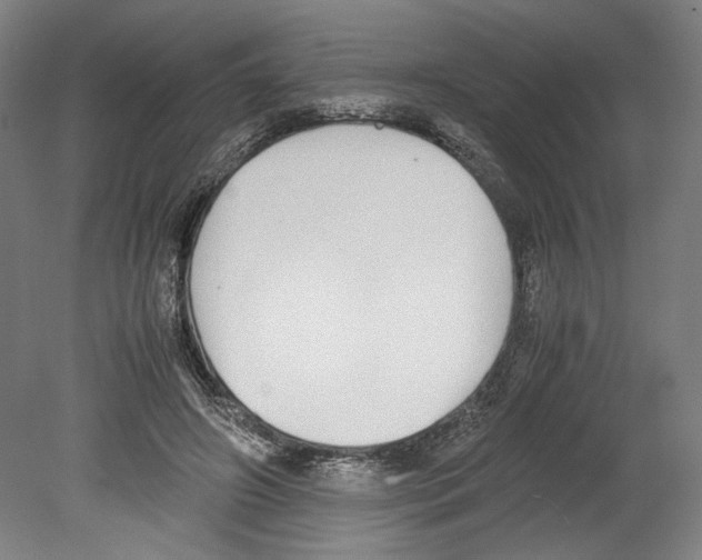 X0000080140498200701051517