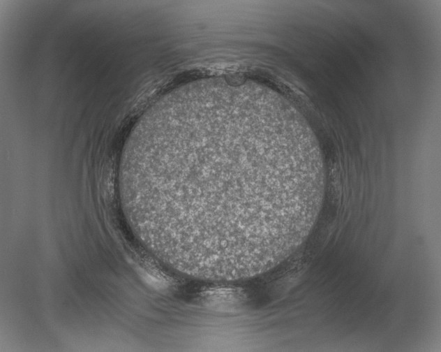 X0000080140499200701051517