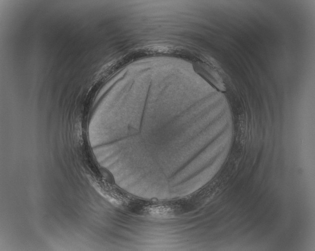 X0000080140500200701051517