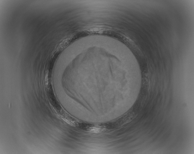X0000080140504200701051517