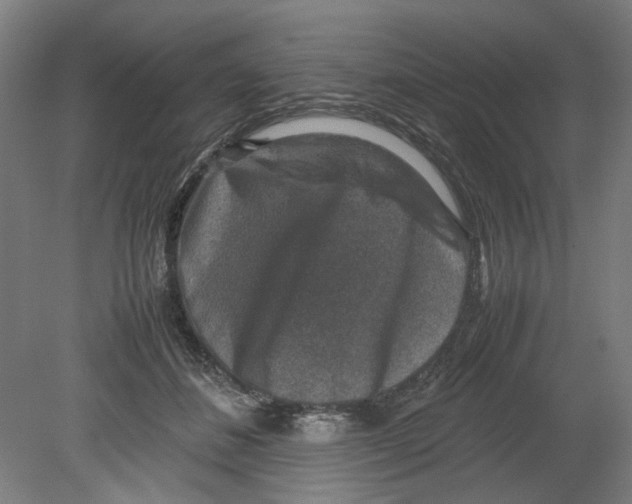 X0000080140508200701051517