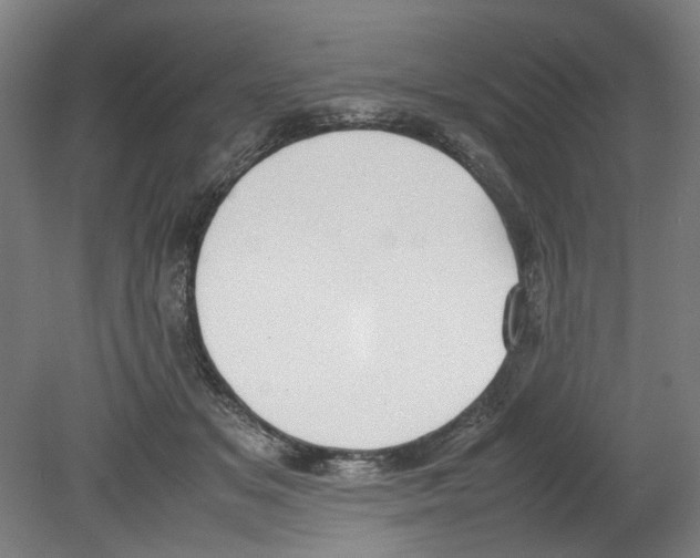 X0000080140509200701051517