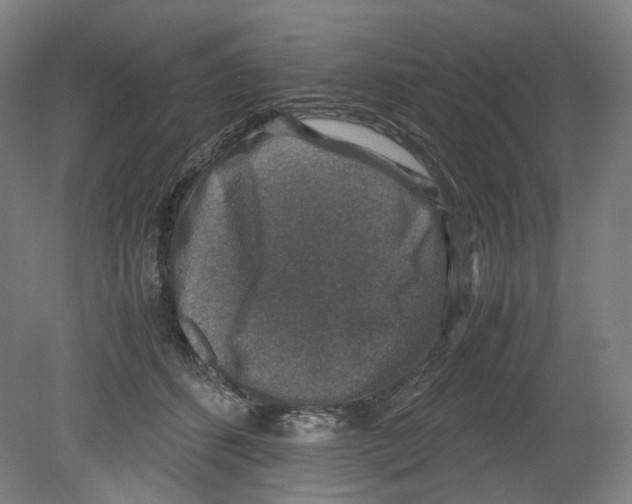 X0000080140512200701051517