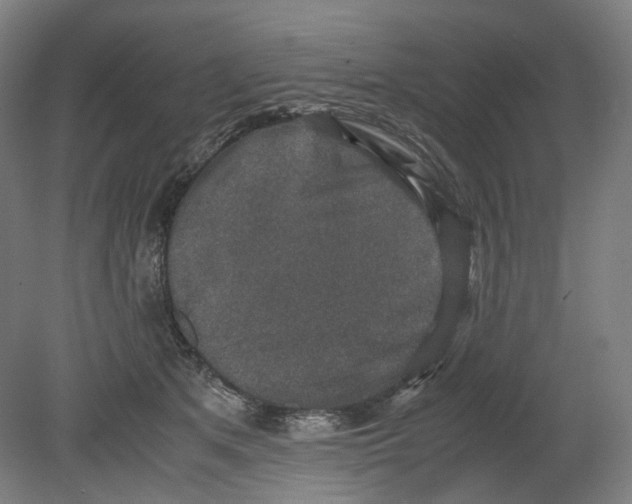 X0000080140513200701051517