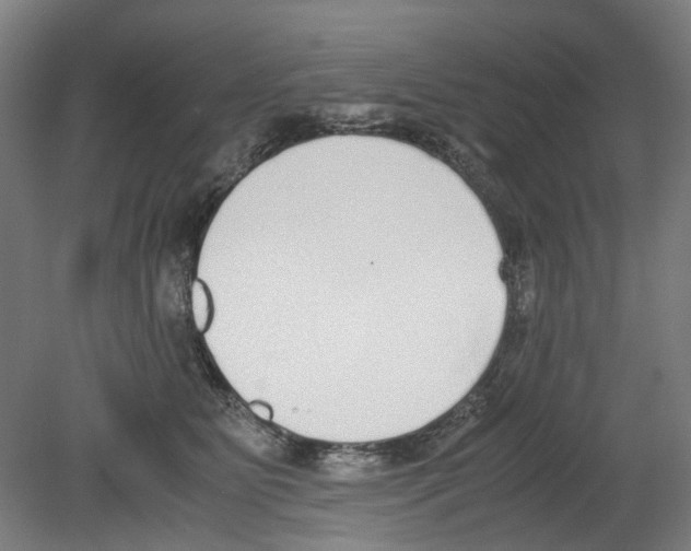 X0000080140515200701051517
