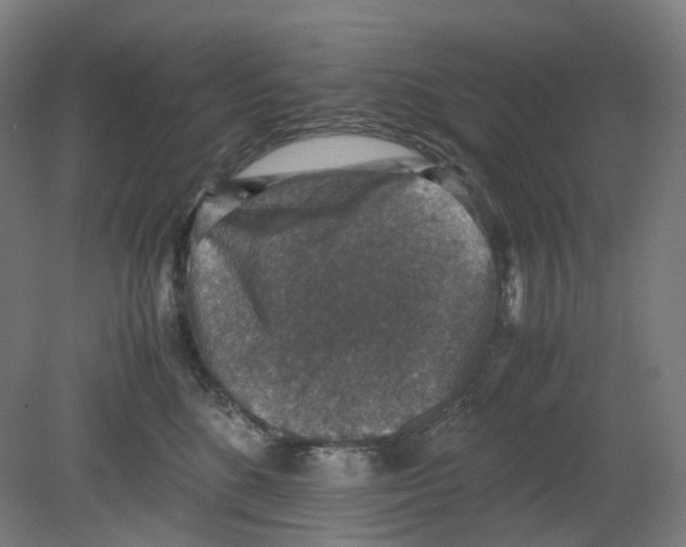 X0000080140520200701051517