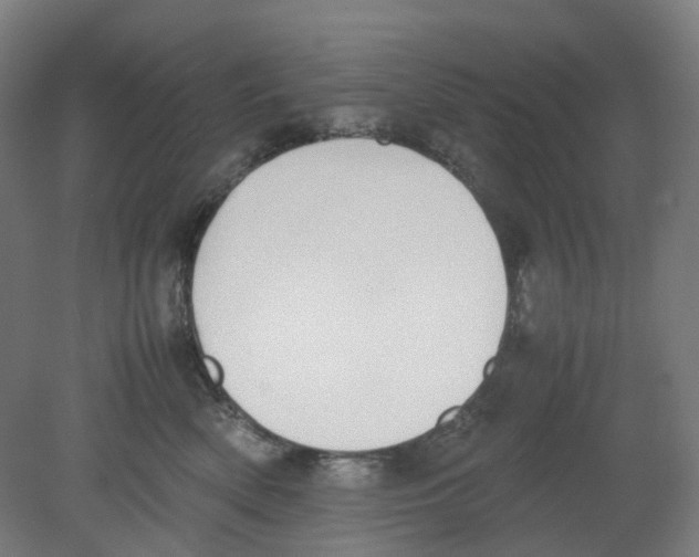 X0000080140522200701051517
