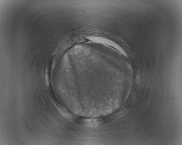 X0000080140524200701051516