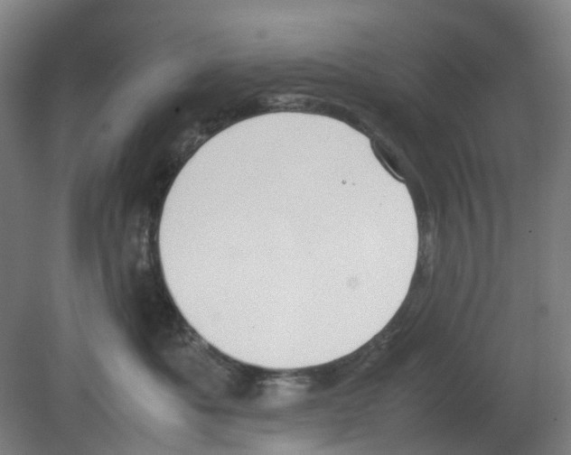 X0000080140525200701051516